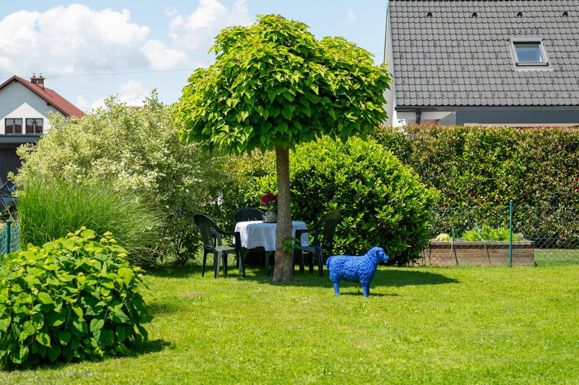 Relax Apartma Peter Ptuj Exteriör bild
